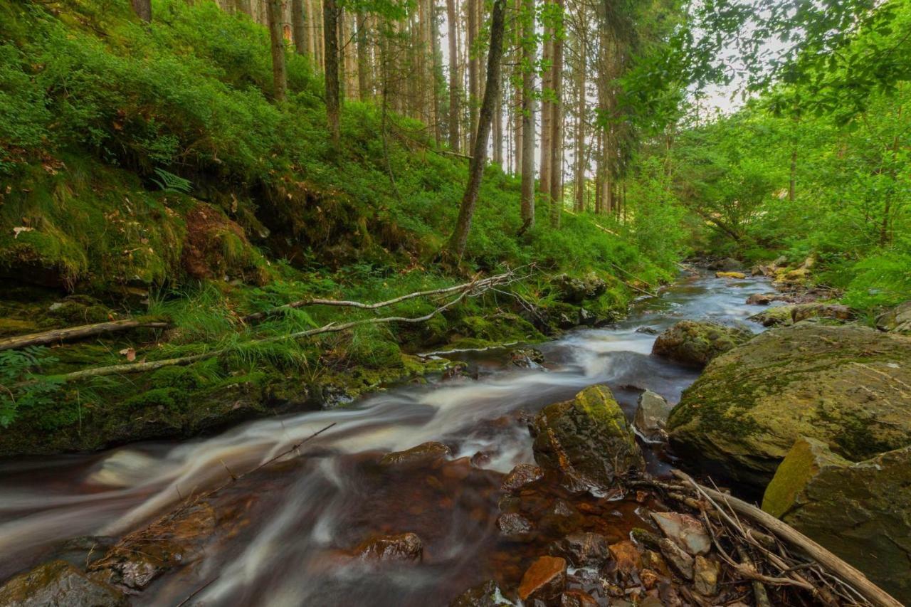 La Mignonne Des Fagnes Villa Malmedy Dış mekan fotoğraf