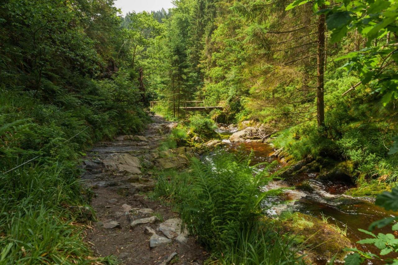 La Mignonne Des Fagnes Villa Malmedy Dış mekan fotoğraf